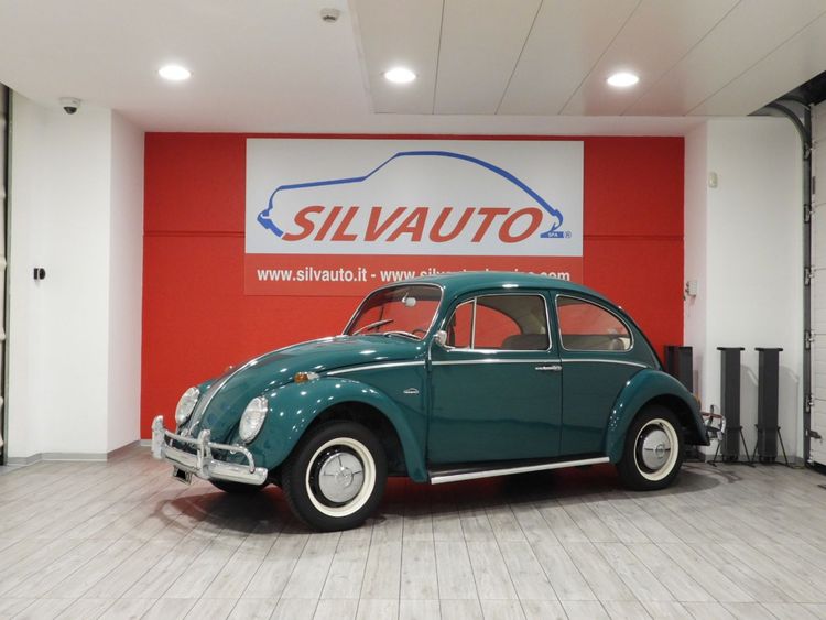 Volkswagen MAGGIOLINO VETRO PIATTO